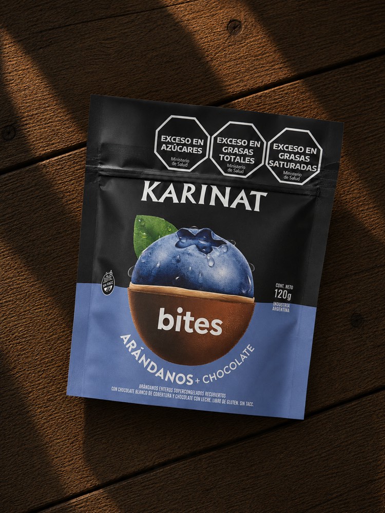 Arandanos bañados en chocolate 120gr Karinat